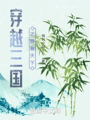 穿越三国之天下无双