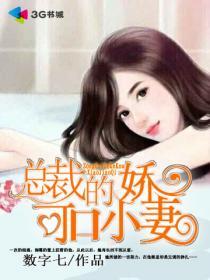 总裁的可爱妻无弹窗