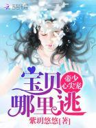 帝少的心尖宠宝贝你要乖