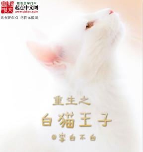 白猫系统王
