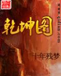 乾坤图像