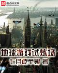 地球游戏场顶点网