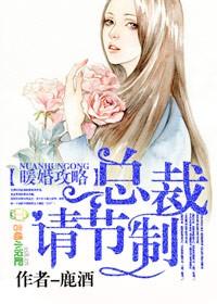 暖婚总裁100