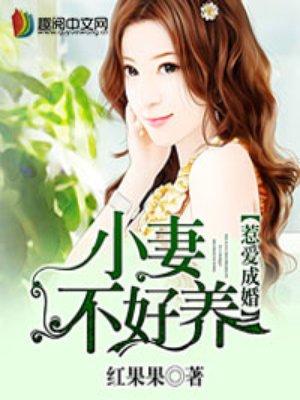 小妻惹不起四少绝宠