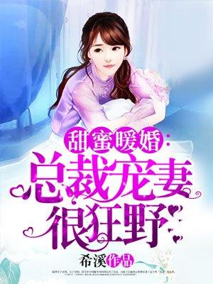 总裁宠妻太疯狂