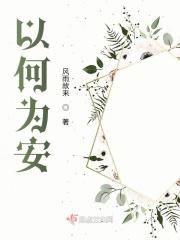 何以安放