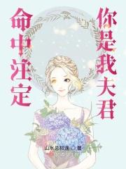 命中注定你是我妻子