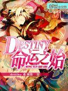 命运destiny 全资料汇总攻略
