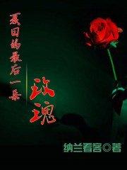 夏日最后一朵玫瑰