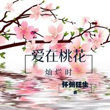 电视剧在桃花盛开