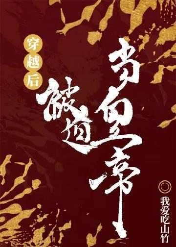 穿越后被迫登基格格党