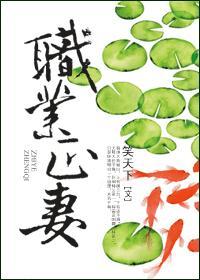 职业vc
