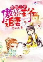 拒嫁王妃惹权王