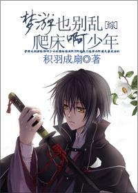 梦游续txt