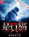 我的师傅是谁呀