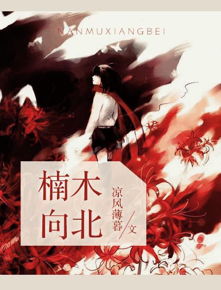 楠木向北电视剧免费观看