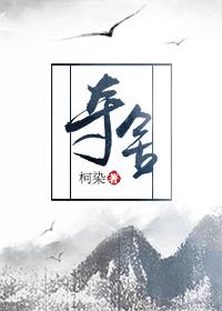 夺舍成军嫂免费阅读全文