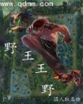 英雄联盟之一代野王