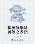 说英雄谁是英雄经典台词