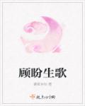 顾盼生辉讲的是什么