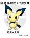 口袋妖怪系统流长篇的