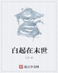 白起是哪一部主角