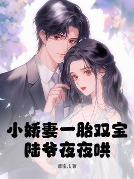 小娇妻一胎双宝陆爷夜夜哄 萱宝儿
