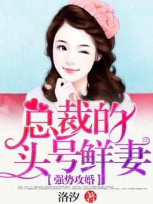 强势攻婚总裁的头号新妻
