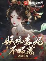 妖娆毒哥穿越