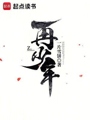 读懂已不再少年