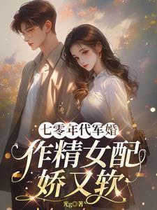 七十年代军婚完结