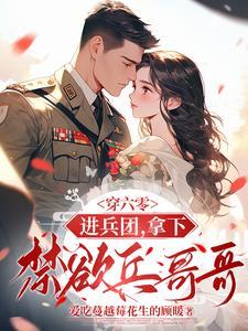 穿越六零年代撩兵哥