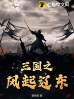 三国之风起云涌 txt