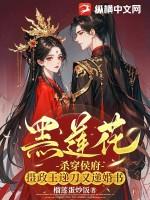 黑莲花穿越手札免费阅读