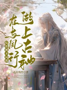 综影视之凤凰