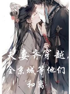夫妻穿越的推荐