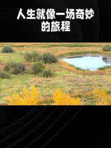 言情故事短文