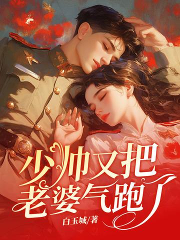 少帅你老婆又跑了又叫什么