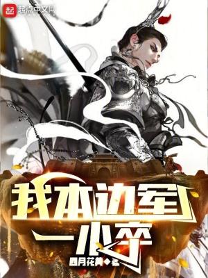 我本边军一小卒书海阁