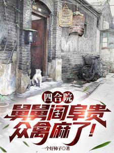 四合院是一大爷是舅舅