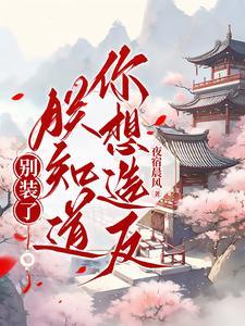 娶朕可好的