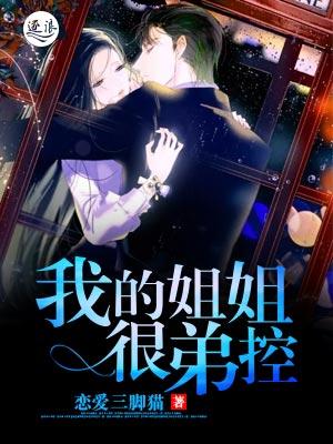 我的姐姐很弟控女主有多少个