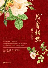 我相思你是什么意思