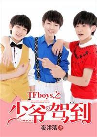 tfboys之少年驾到2