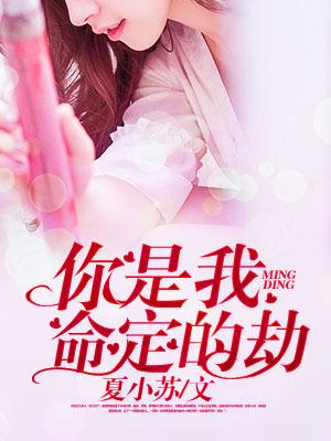 你是我命中的劫什么意思
