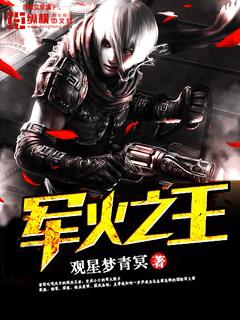 军火之王为什么不更新了
