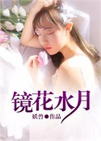 镜花水月终成空