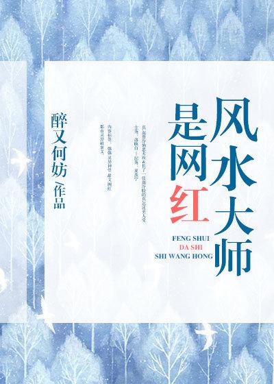 风水大师是网红阅读