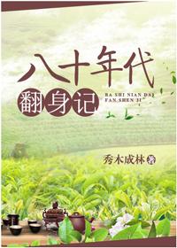 八十年代翻身记TXT百度
