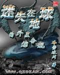 迷失在地球的外星综合舰章节列表